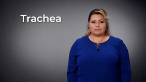 Trachea | SEE Signs ESC Region 13