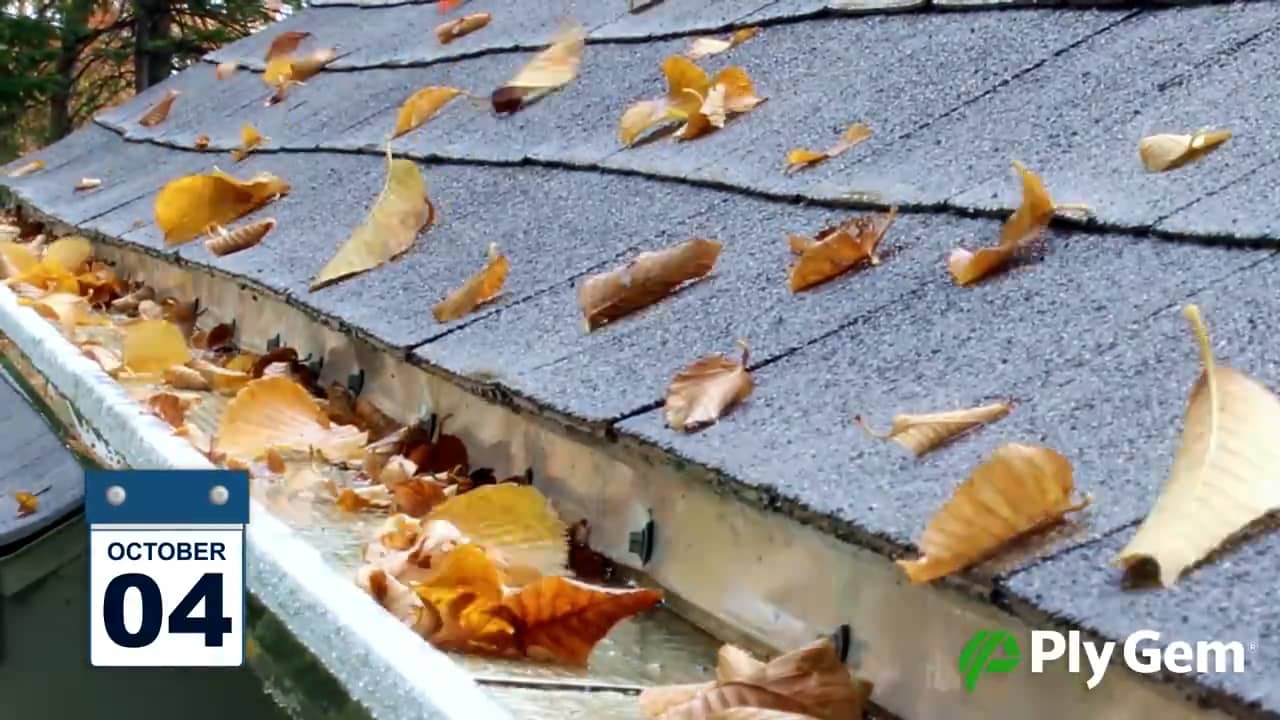 Leaf Relief® Debris Timelapse on Vimeo