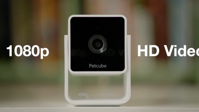 petcube phone number