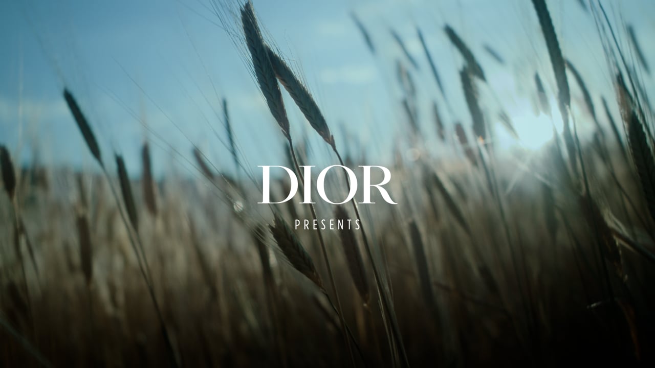 Dior — The Blue Goldsmith