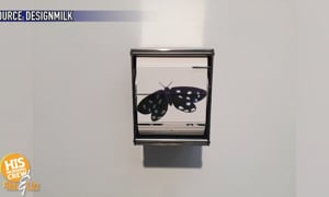 Artist Sends Butterflies!