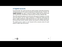 Capital account