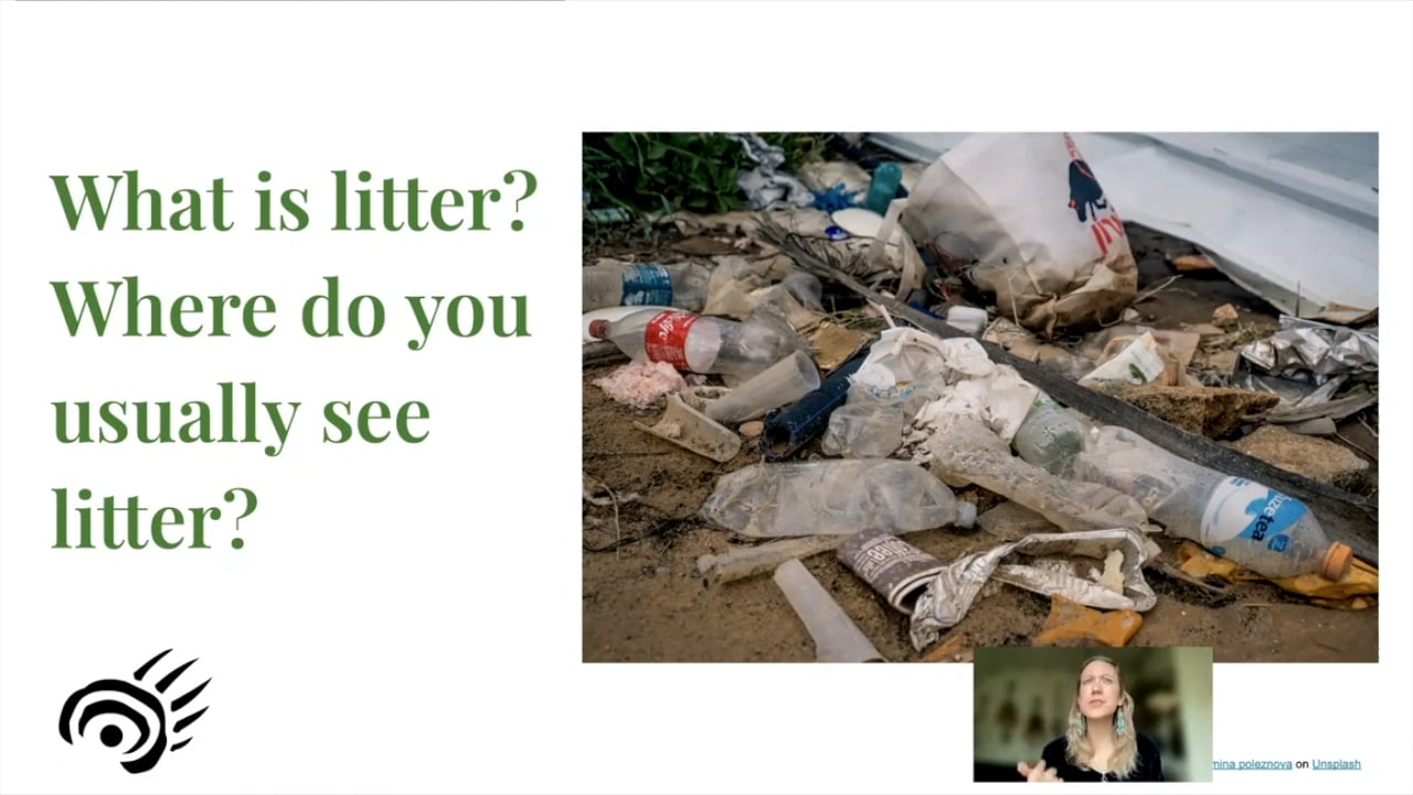 Environmental Impact Of Litter