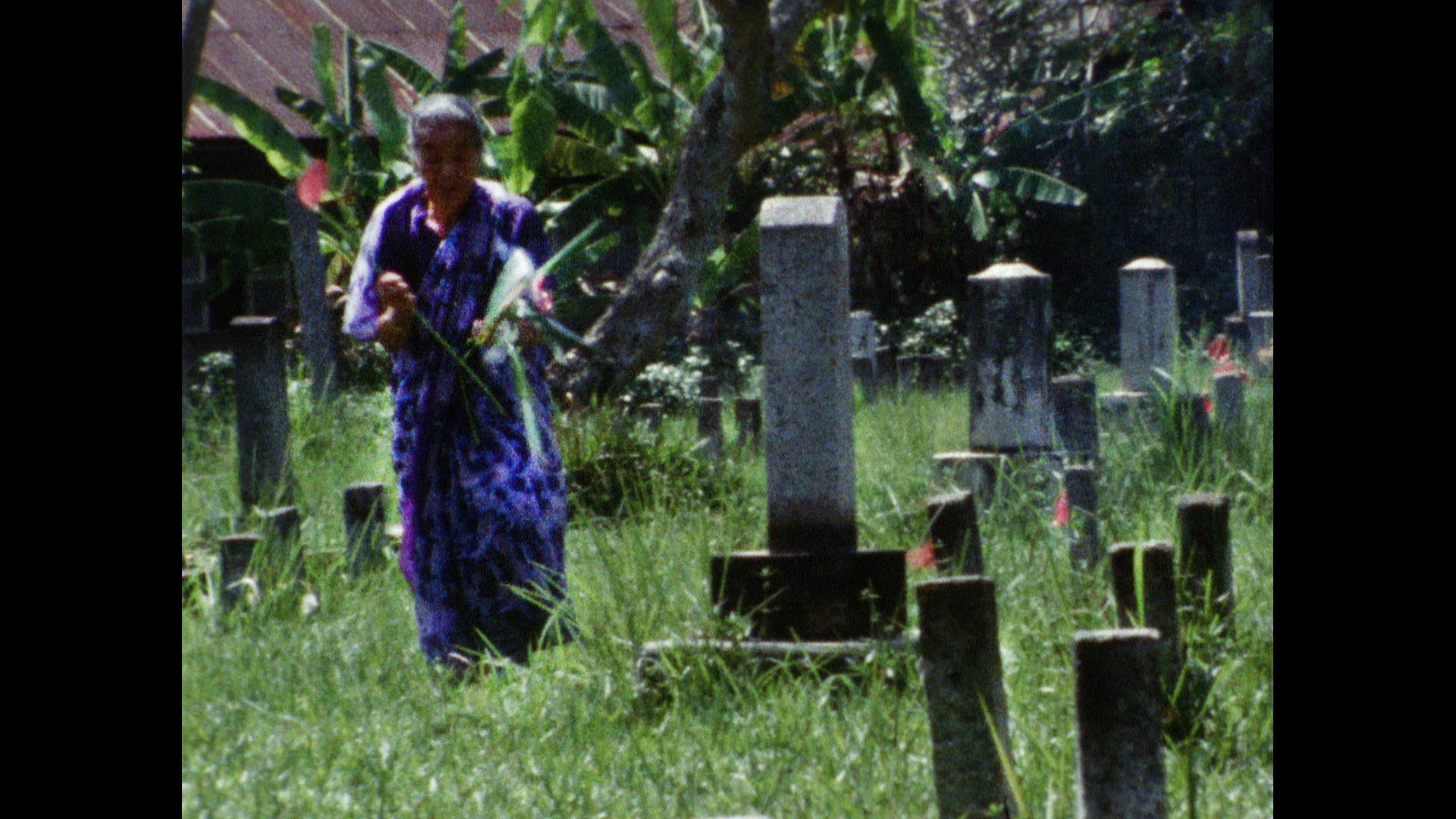 Watch Karayuki-San, The Making of a Prostitute Online |   On Demand  