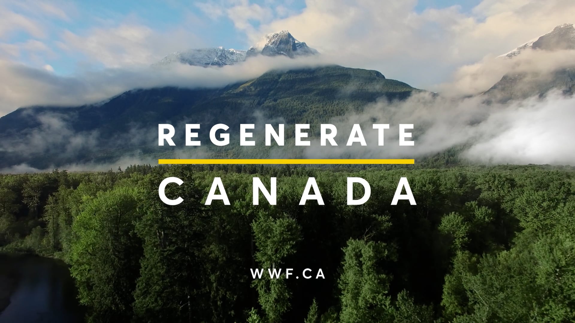 WWF Canada | Our Future Is Irreversible