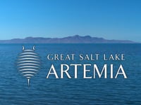 GSLA: About Us