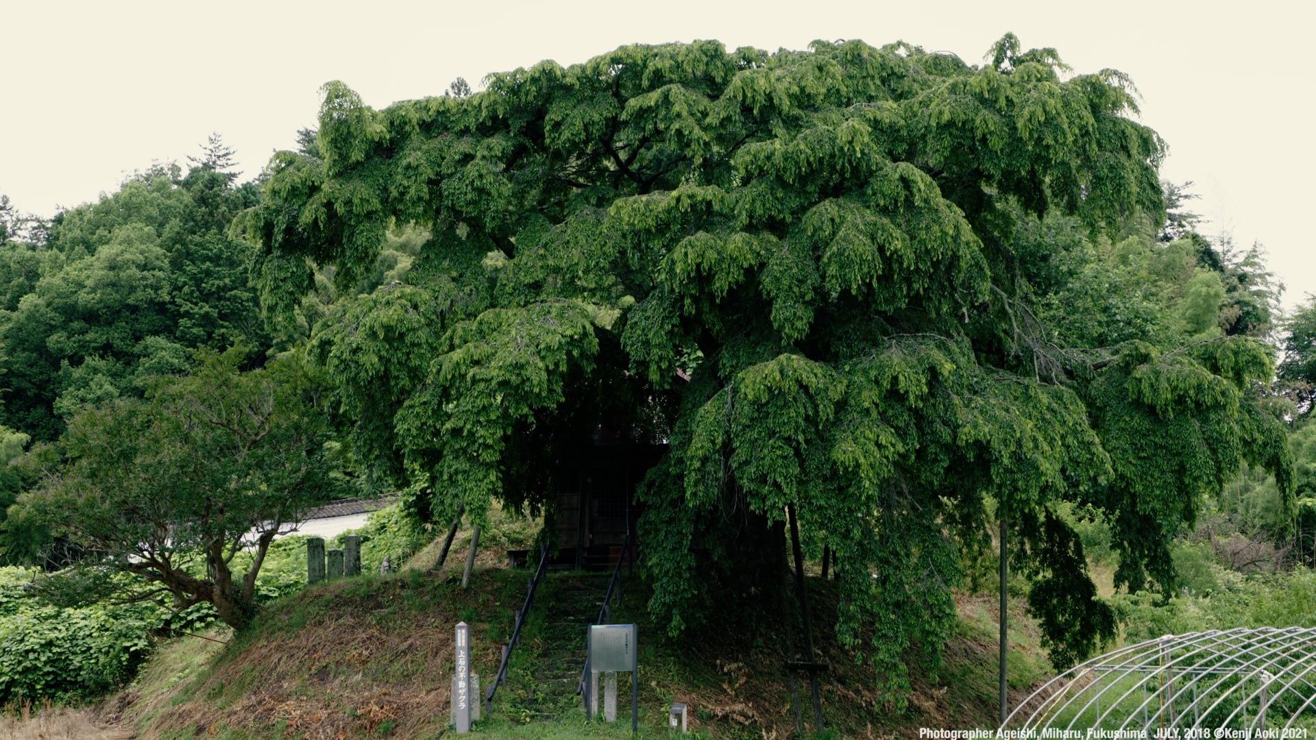 Photographer AGEISHI,Miharu,Fukushima JULY 2018,OCTOBER 2020