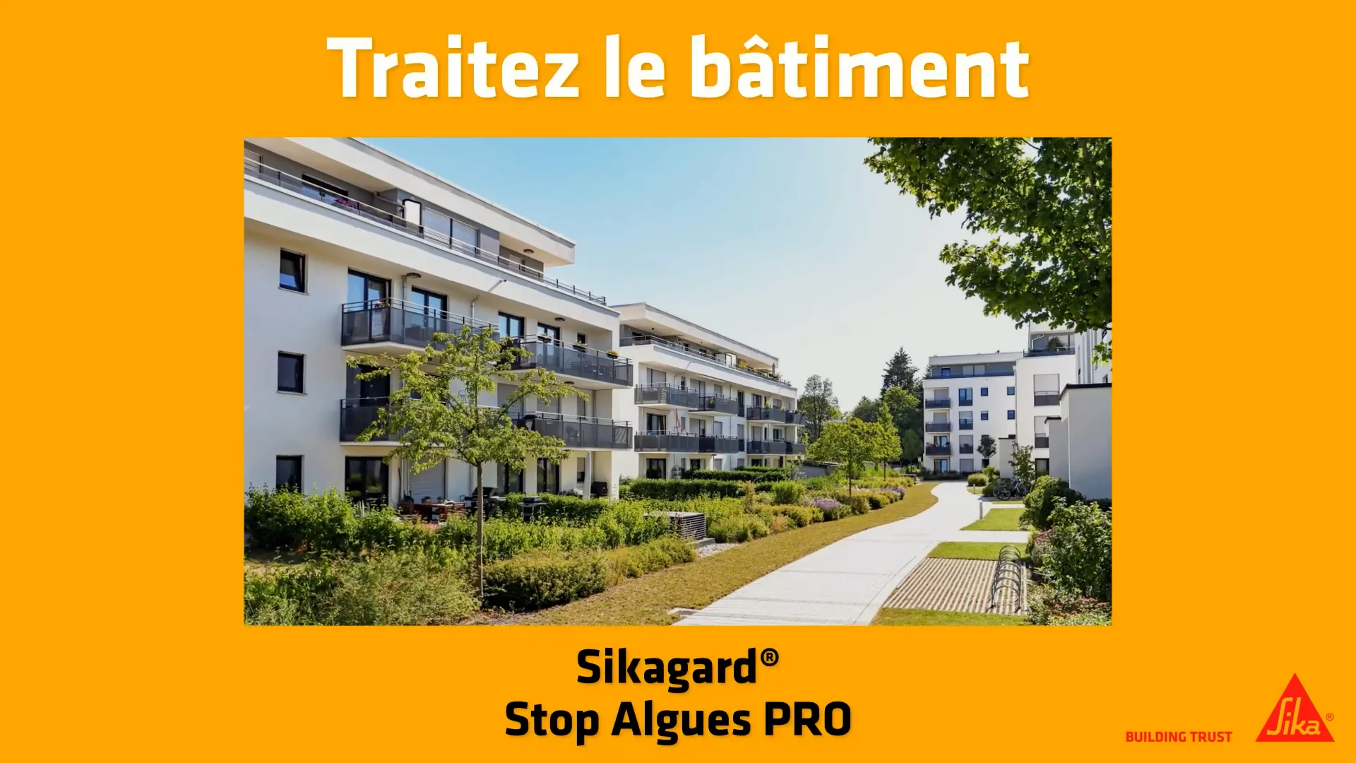 Sikagard 130 Stop Algues Pro 20L – Traitement Algicide & Fongicide Puissant Prêt à L'Emploi – Élimine Algues Vertes/Rouges, Résidus Noirs – Toiture, Façade, Terrasse