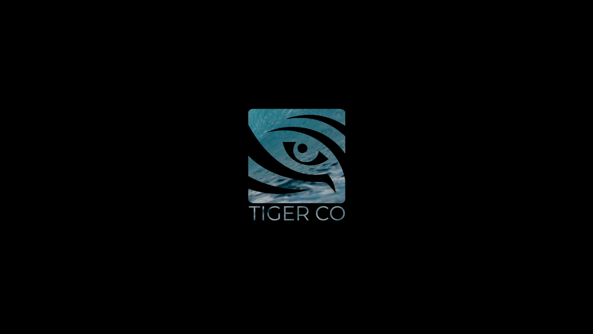 Tiger Co Showreel 2021 [4K]