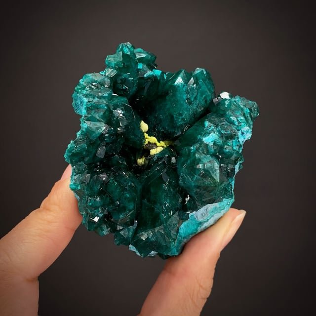 Dioptase with Shattuckite and Chrysocolla