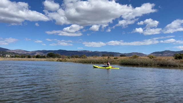 Napa River Kayak.mp4