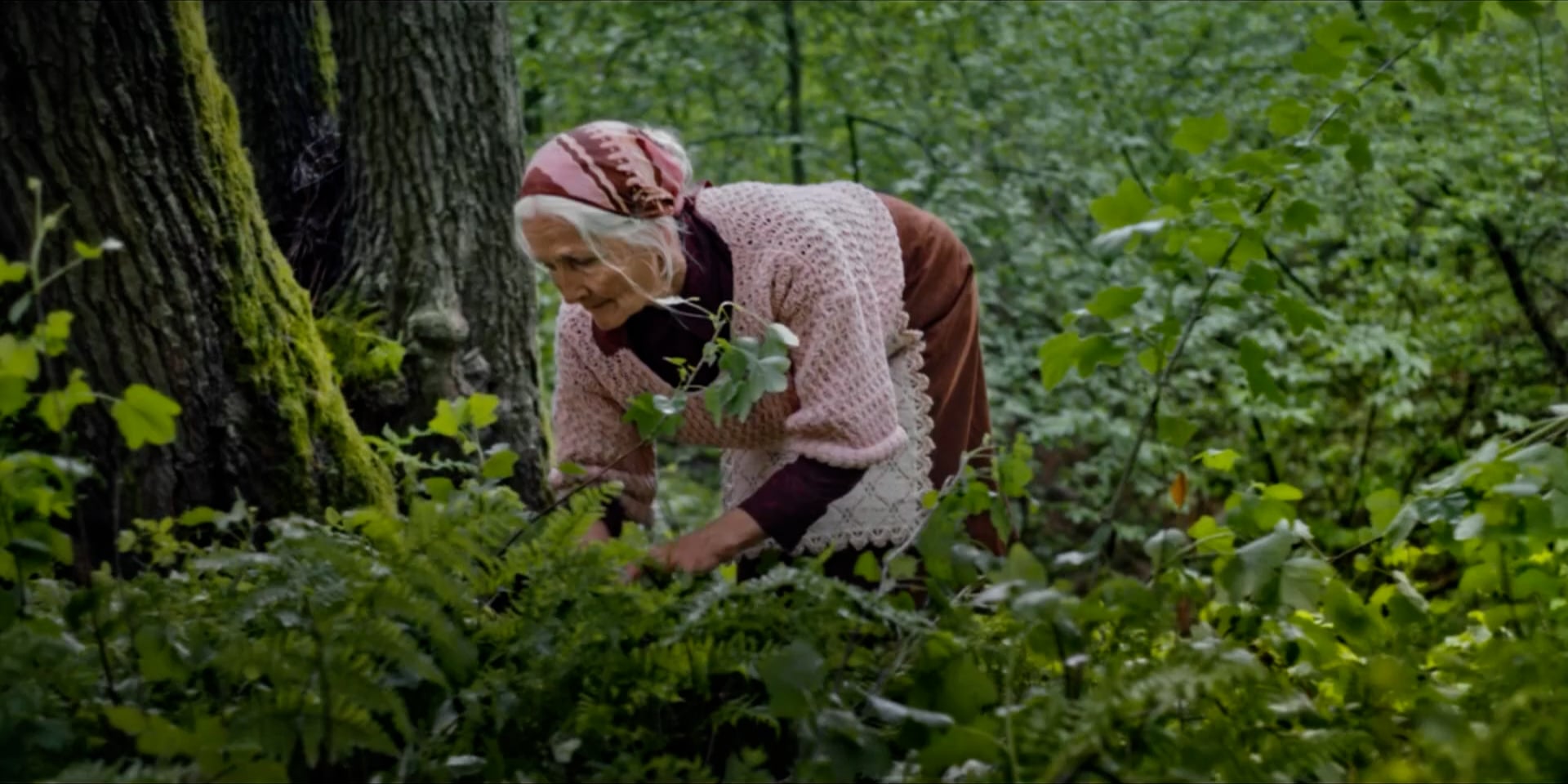 Link4 Commercial prod. Mangusta Film PL Steadicam Operator