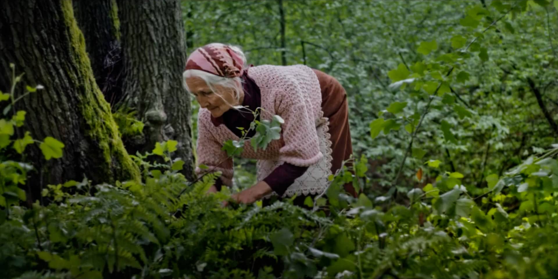 Link4 Commercial prod. Mangusta Film PL Steadicam Operator