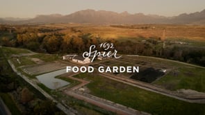 Spier Food Garden — 1 Year Progress
