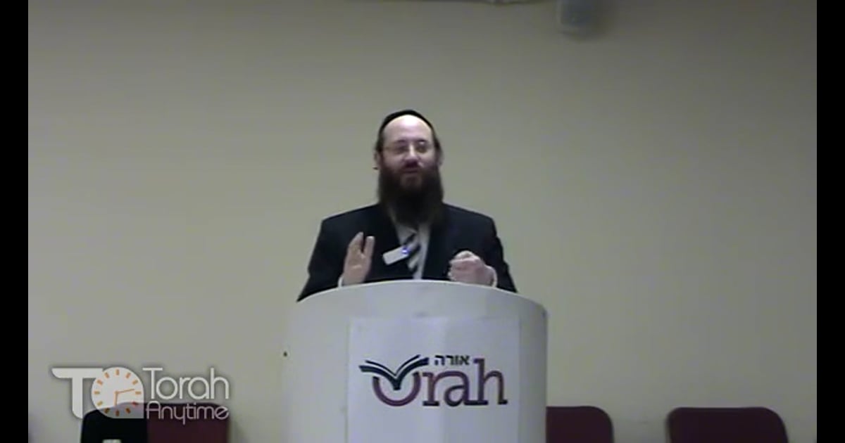 R' Meir Rapoport Kosher for Passover How to Kasher Your Kitchen