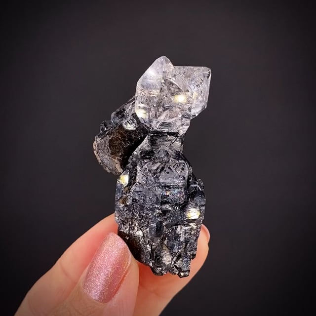 Tourmaline on Quartz - TUC09-X5 - Jonas Mine - Brazil