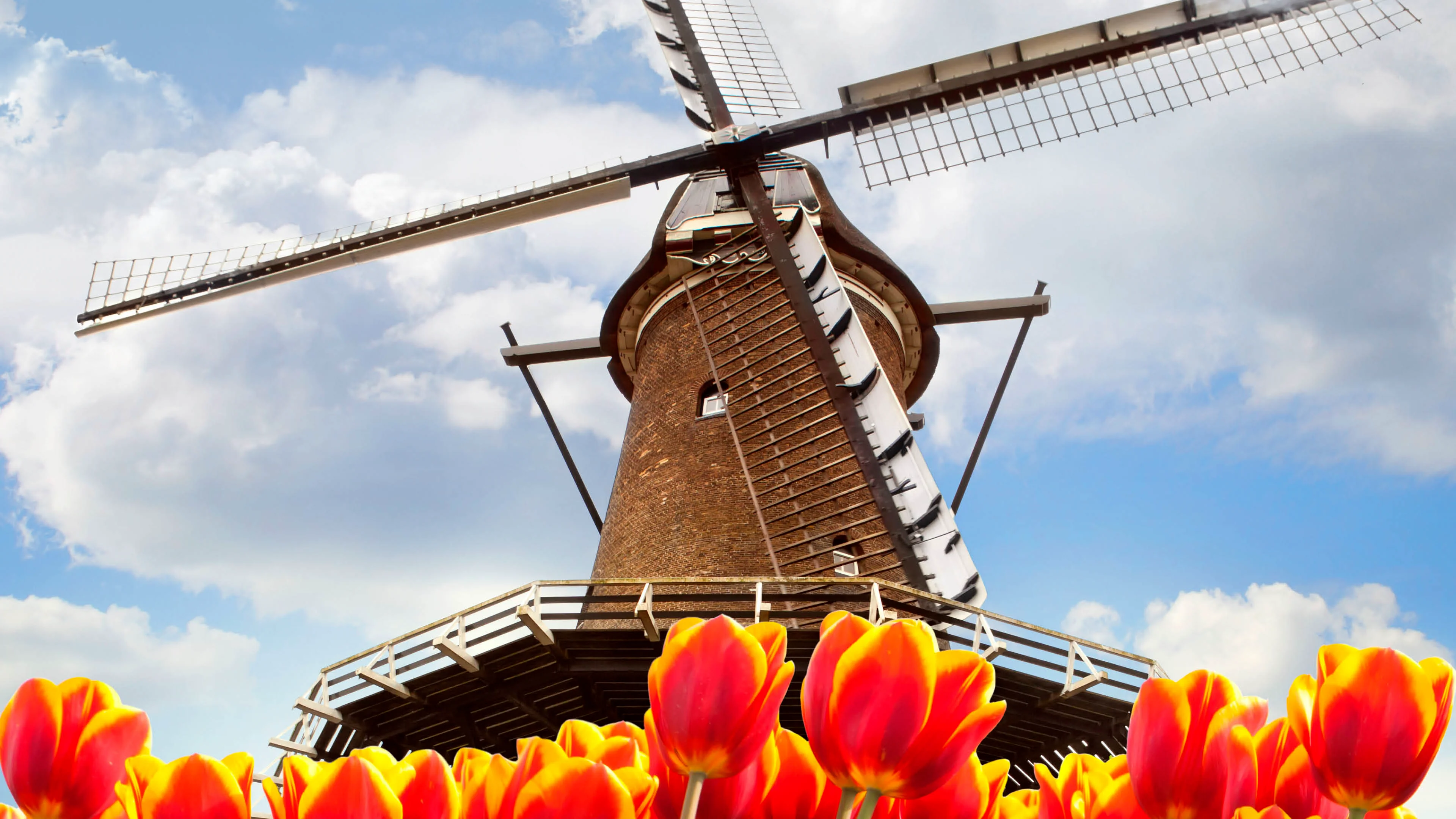Tulips & Windmills | Viking River Cruises - All - Videos | Viking