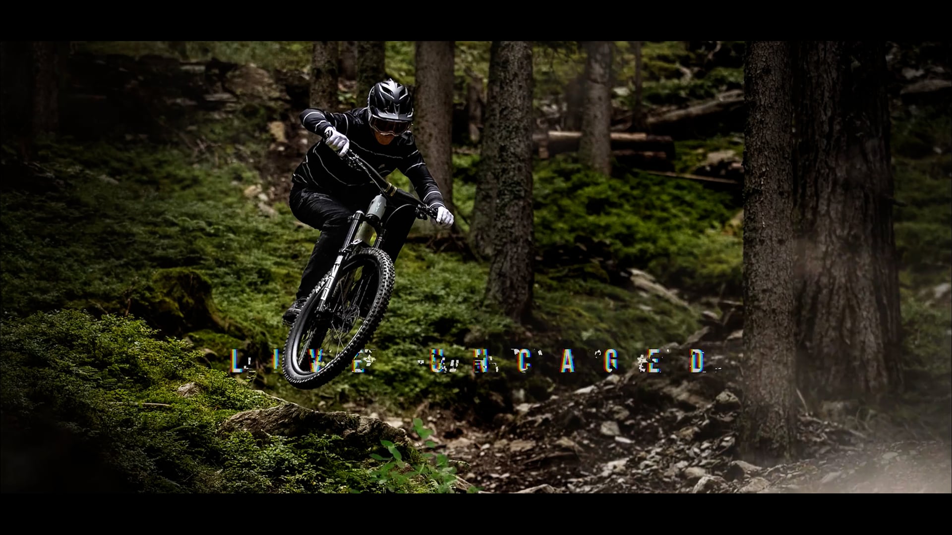 YT INDUSTRIES BEGINS RESTRUCTURING UNDER SELF ADMINISTRATION visual data 6