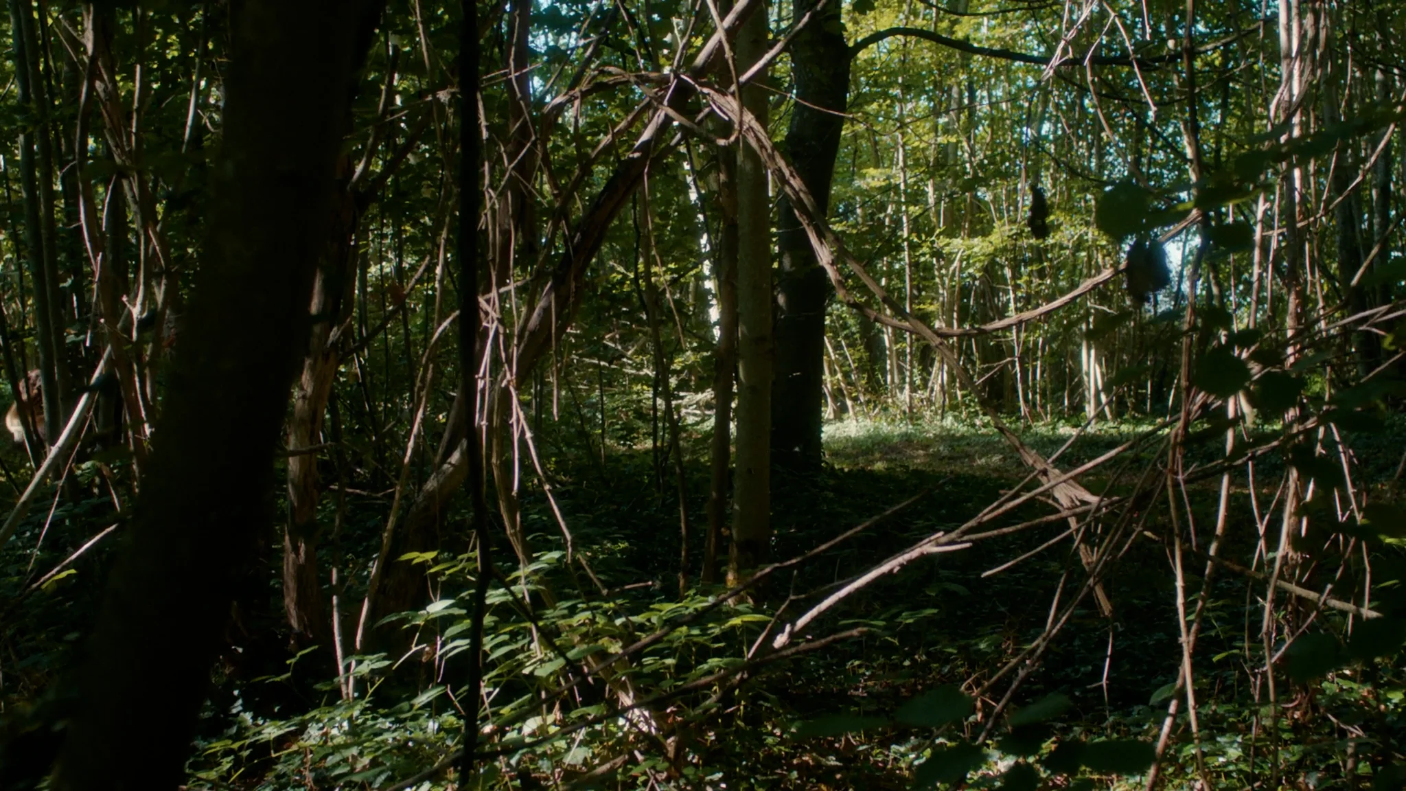 Dice Kayek SS22 Fashion Film on Vimeo