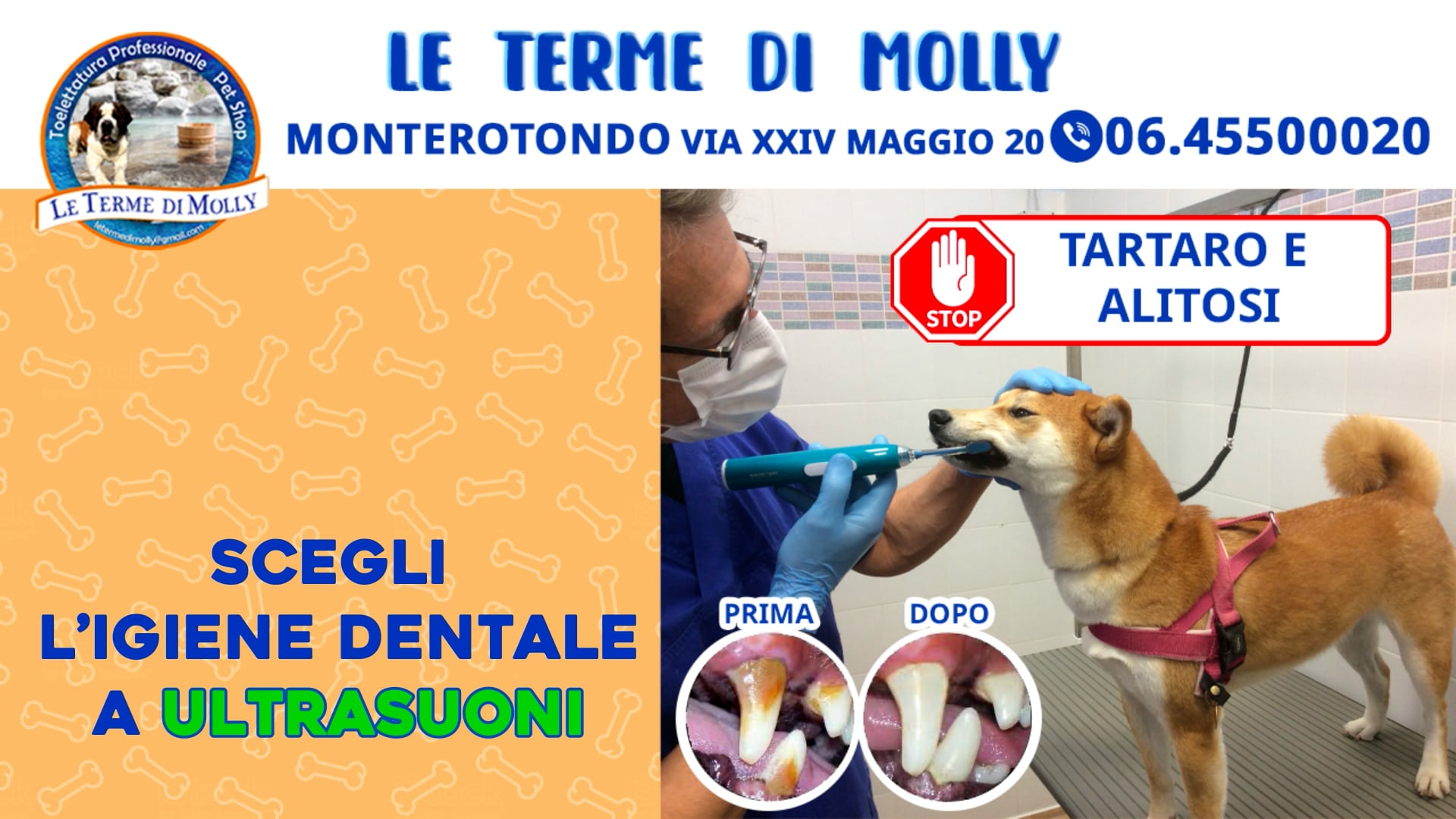 Spot Dietrolangolo