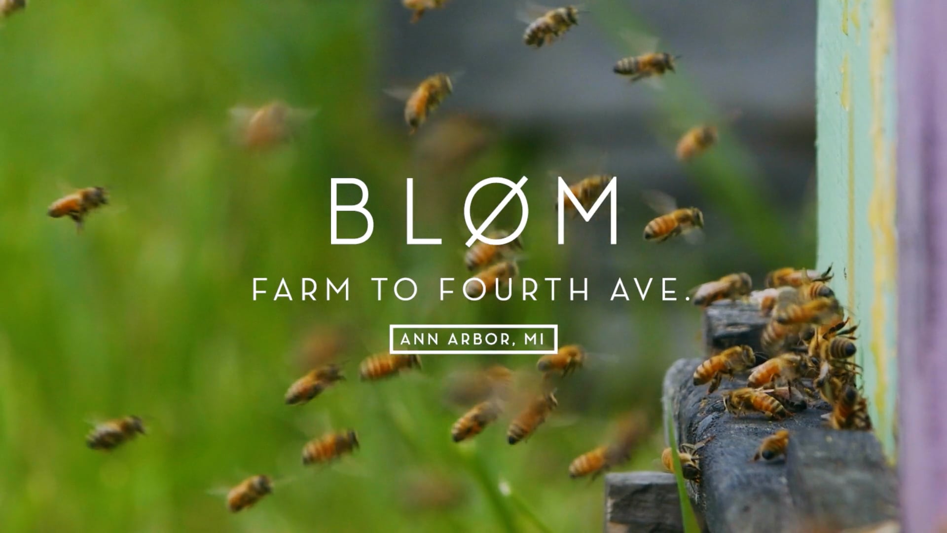 Bløm // Farm to Fourth Ave. [FESTIVAL CUT]