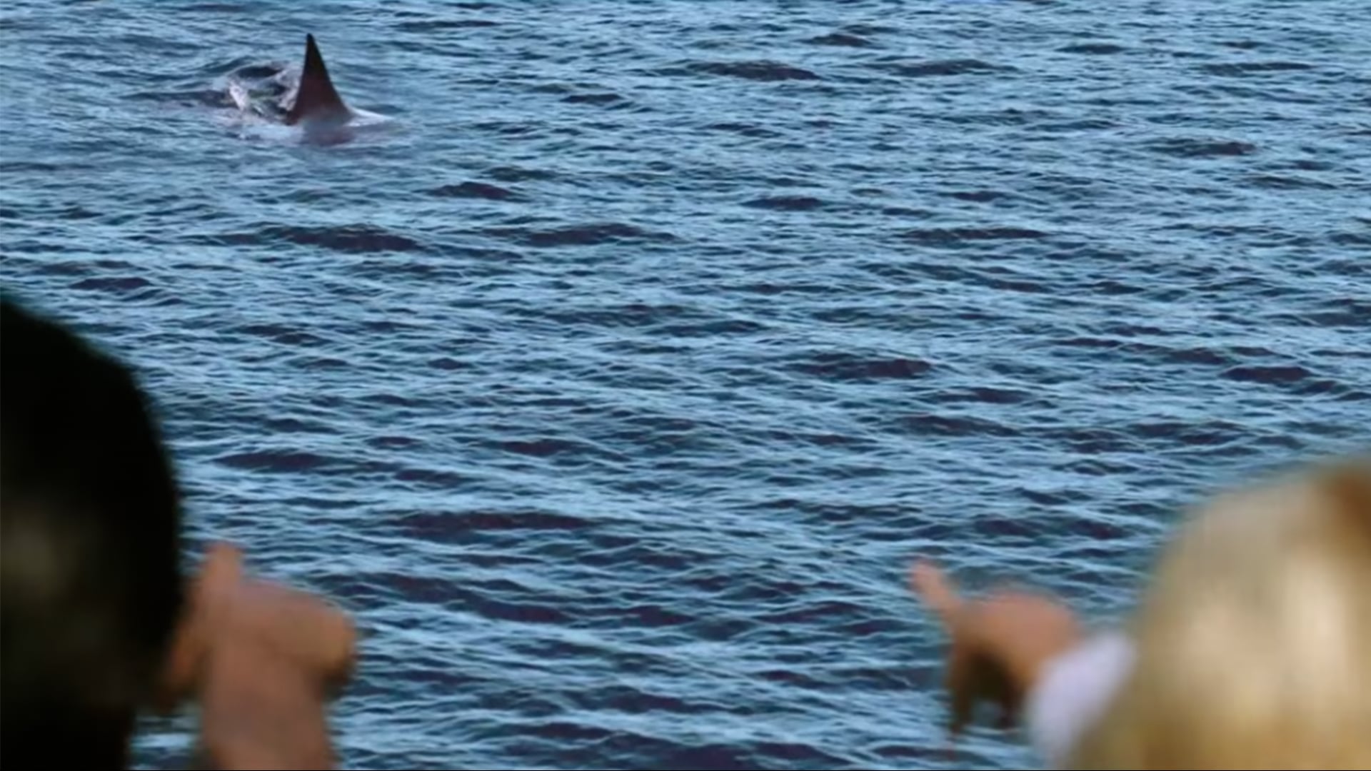47 Meters Down TV60