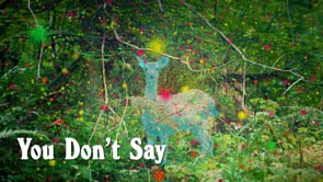 Related Embedded Video Item Thumbnail