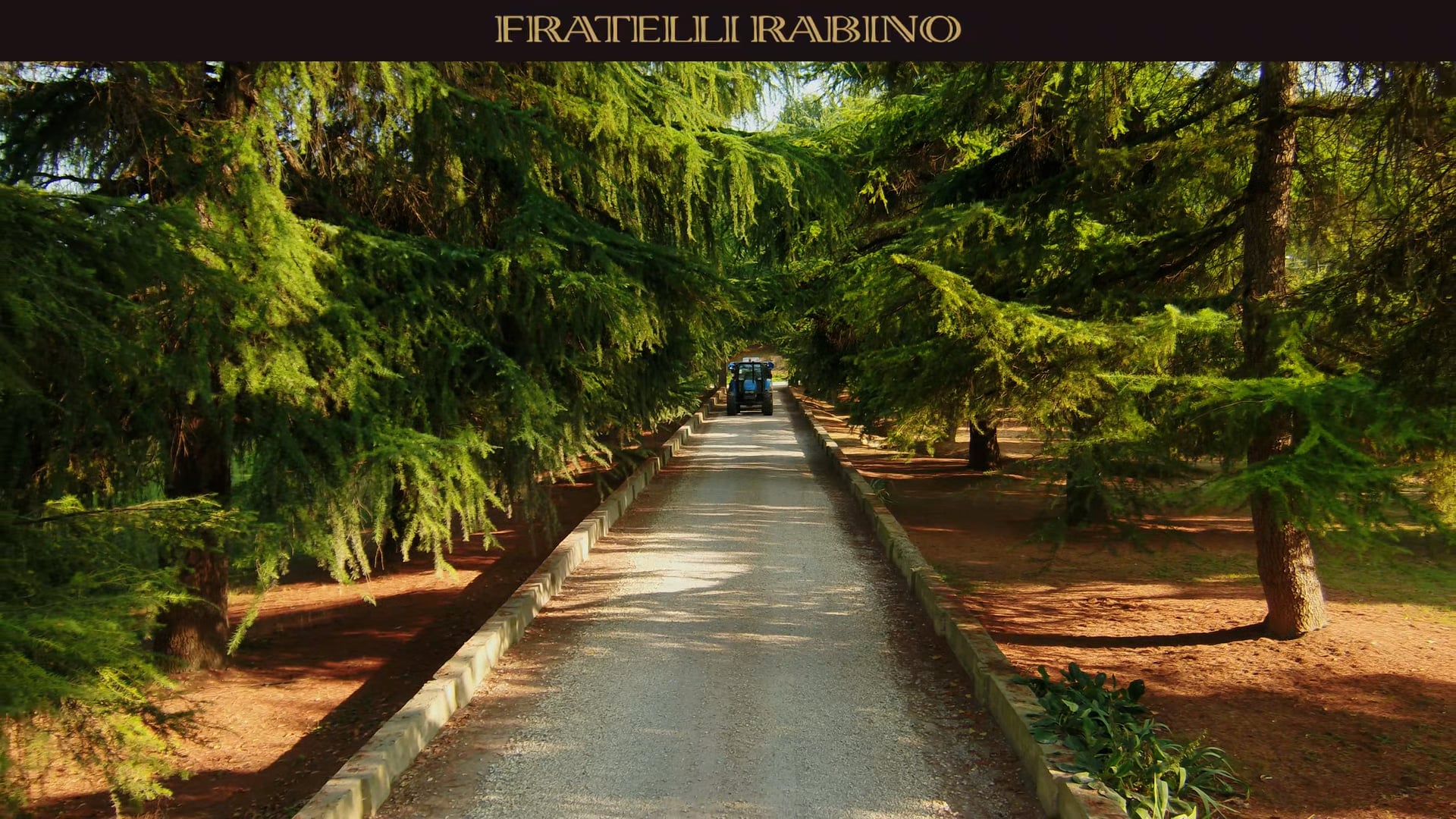 ANNATE & VENDEMMIE | 2021 | 3° episodio