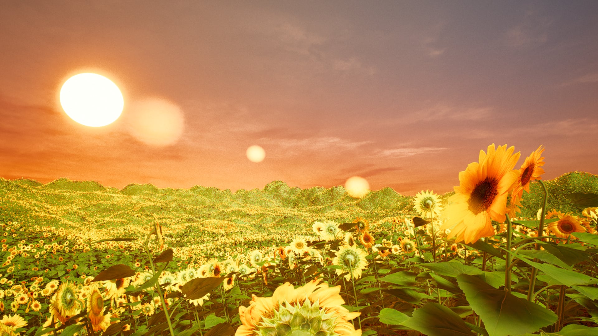 A Survivor's Odyssey Work Sample