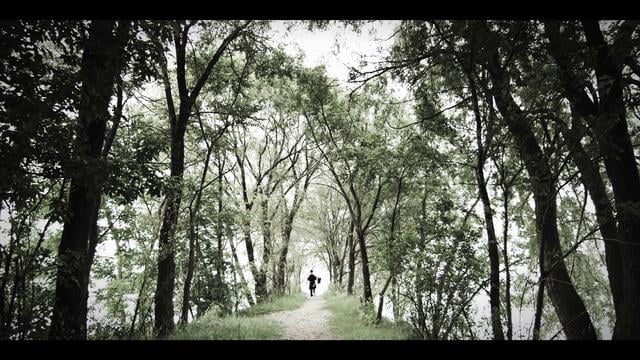 Bird - La Notte thumbnail