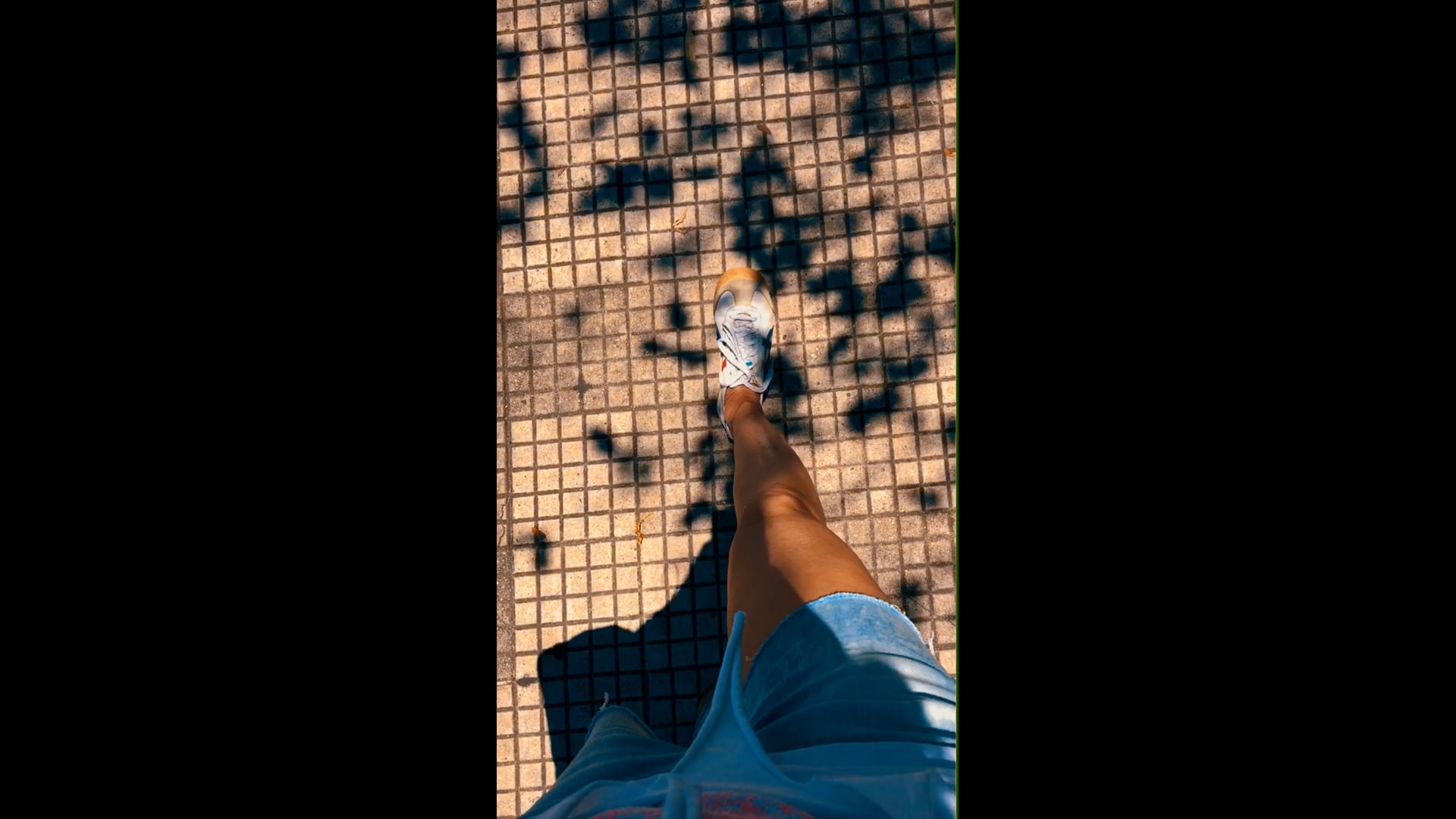 série Caminhadas, vídeo 12