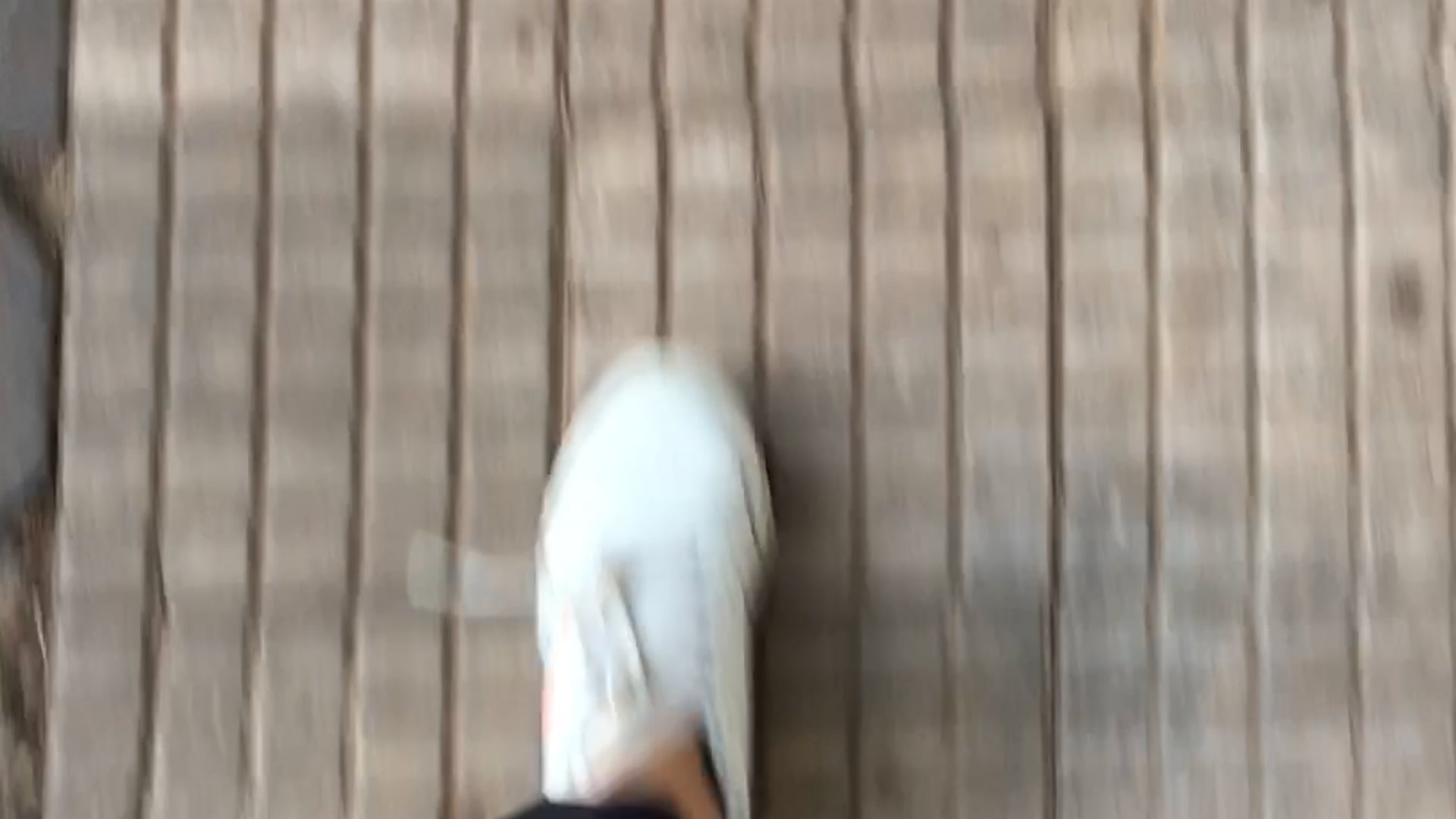 série Caminhadas, vídeo 13, parte 1