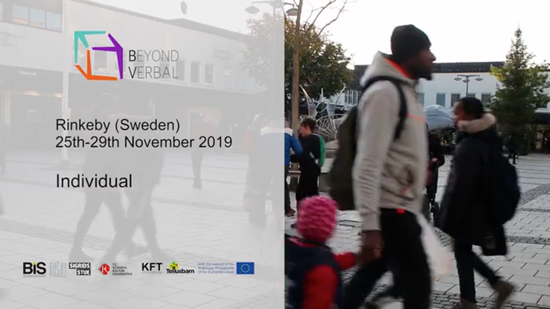 BV Individual Workshop (Rinkeby, November 2019)