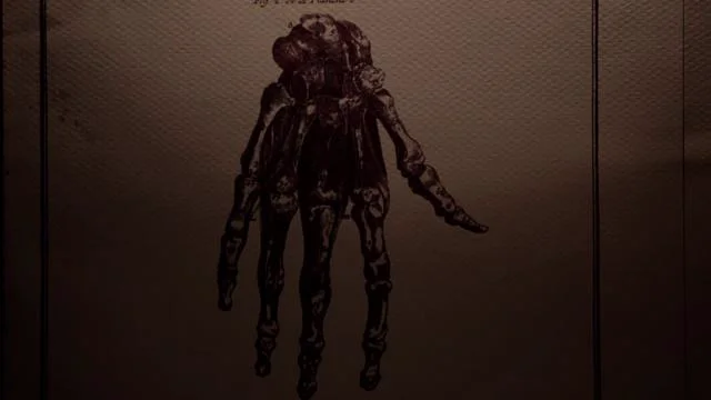 vimeo.com