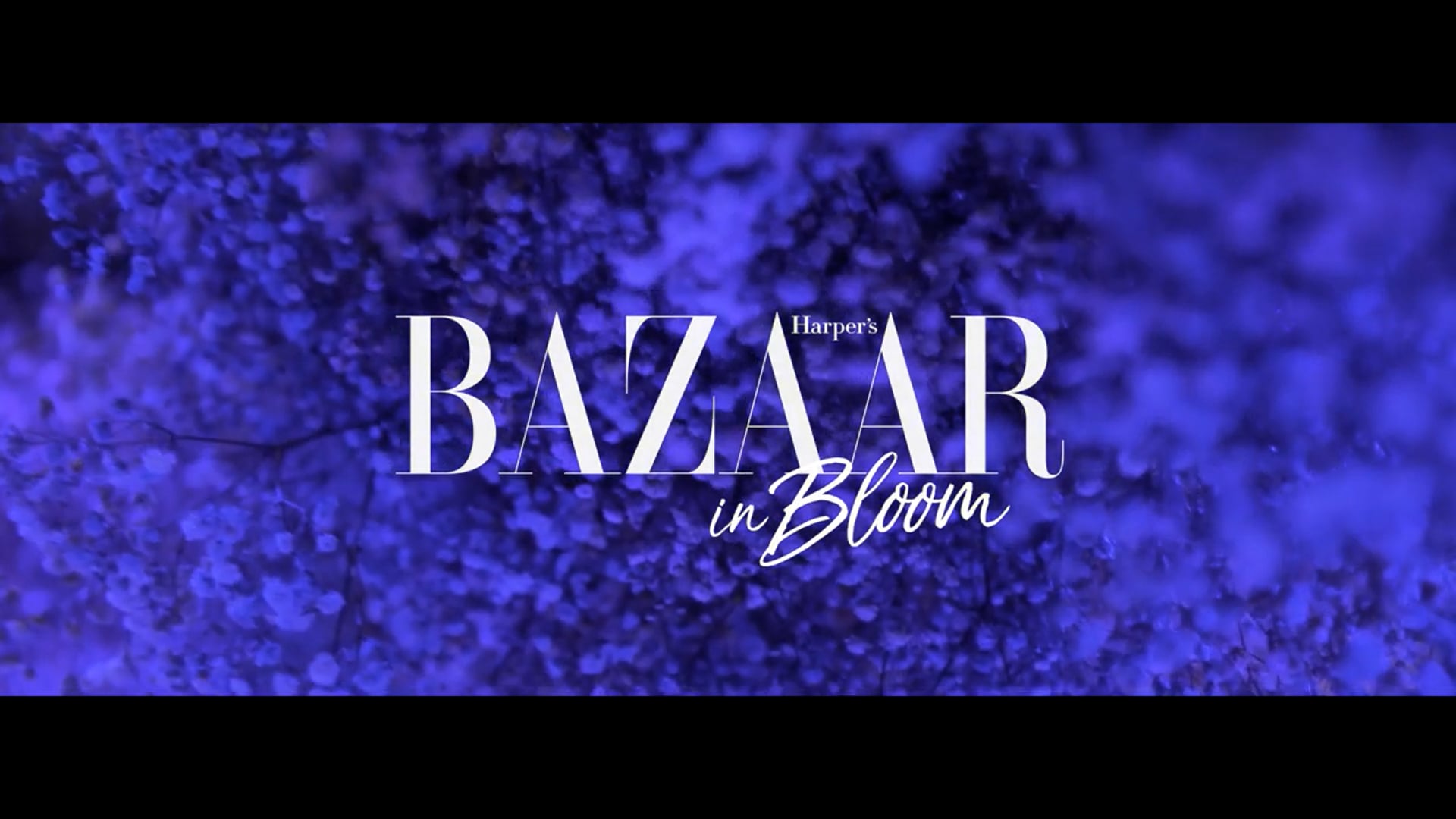 Harper's BAZAAR In Bloom
