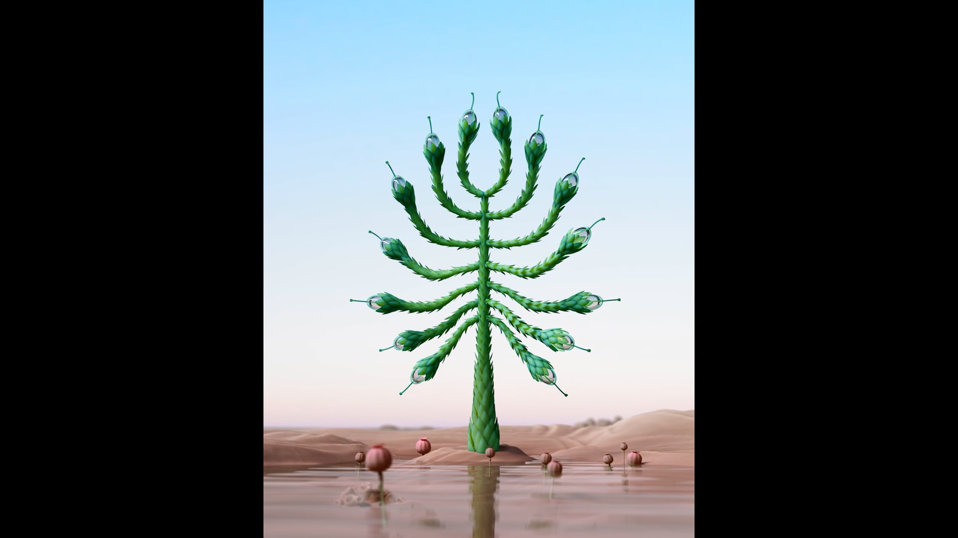 Danil Tabacari: Acuminata