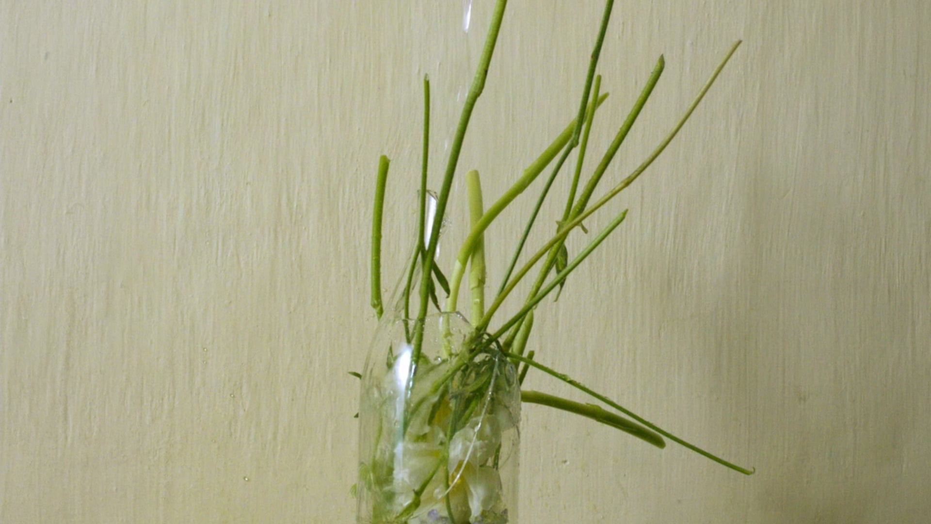 Gia studios 2021 - director cut