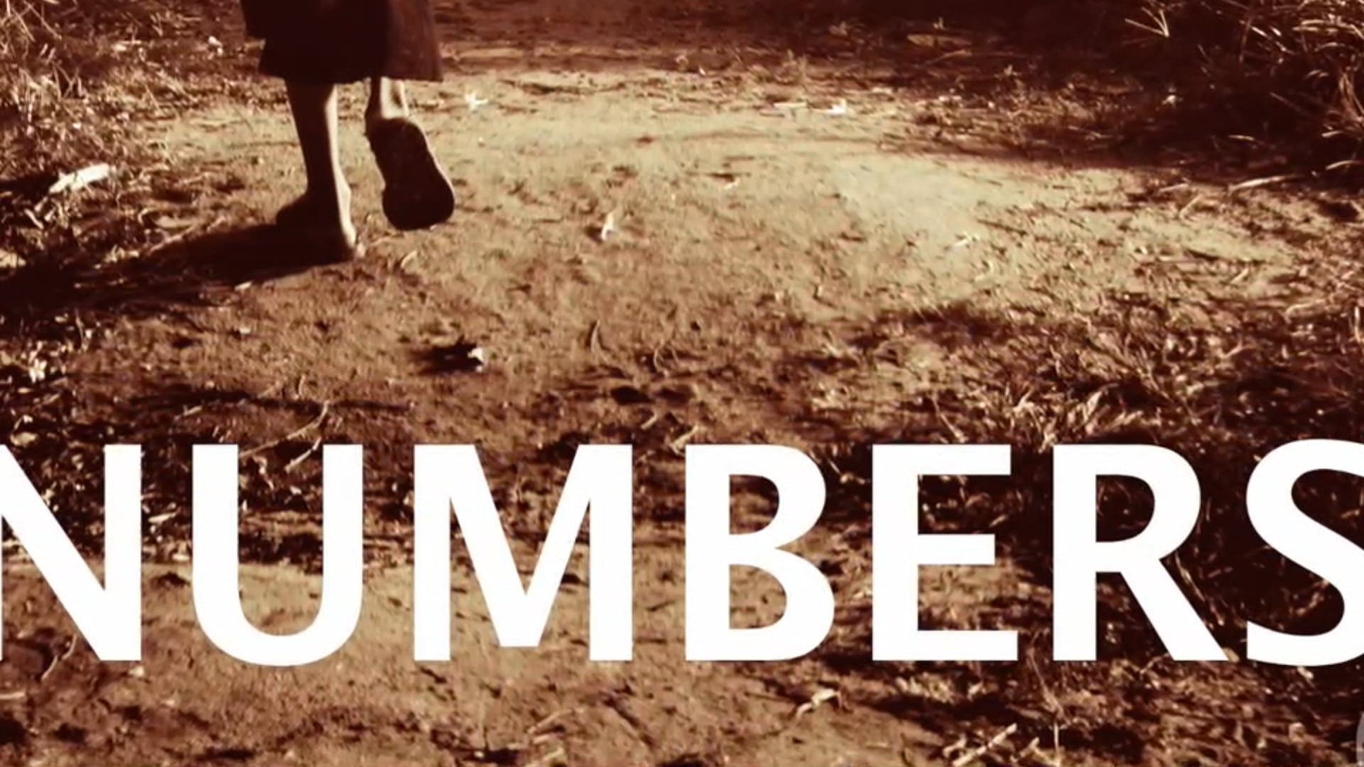 Numbers; Spirit of the Wanderer
