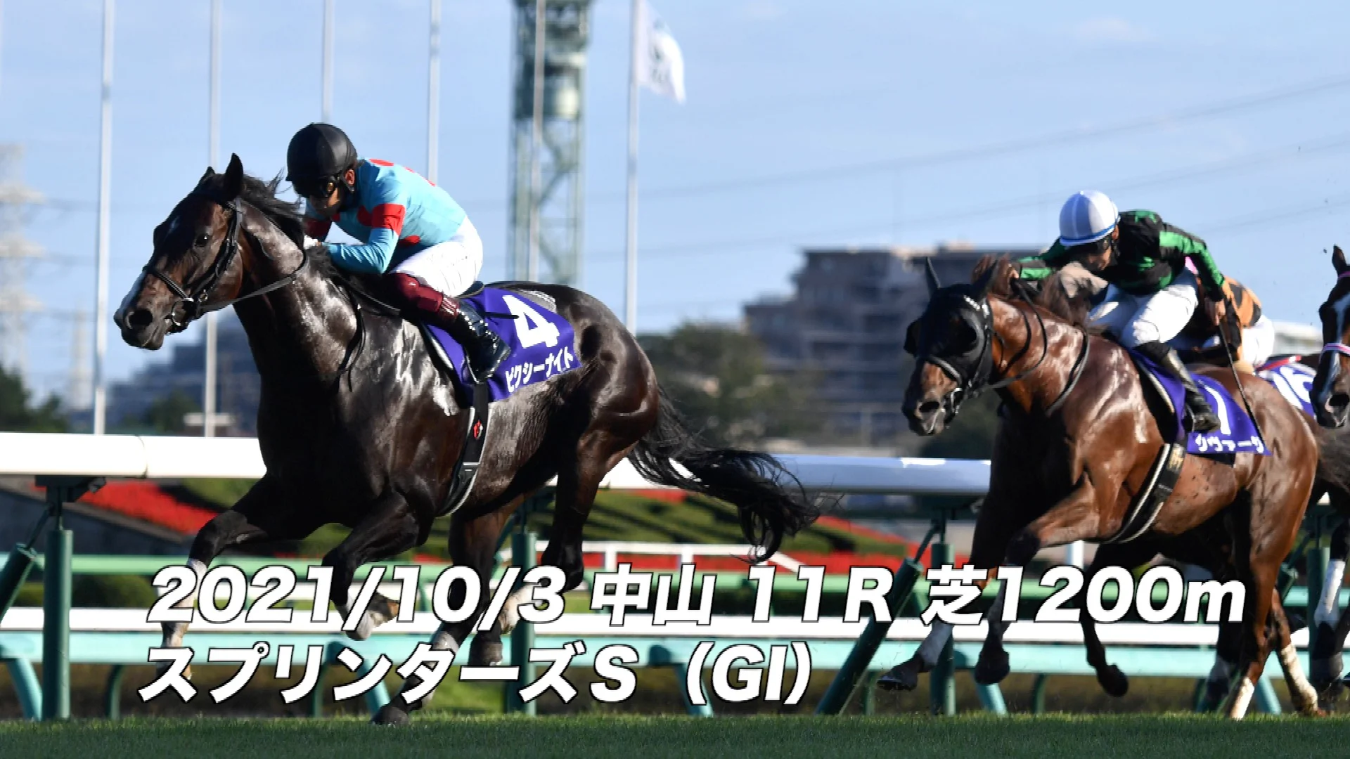 スプリンターズS（GⅠ）】10／3 | 競馬関連動画なら東スポ競馬