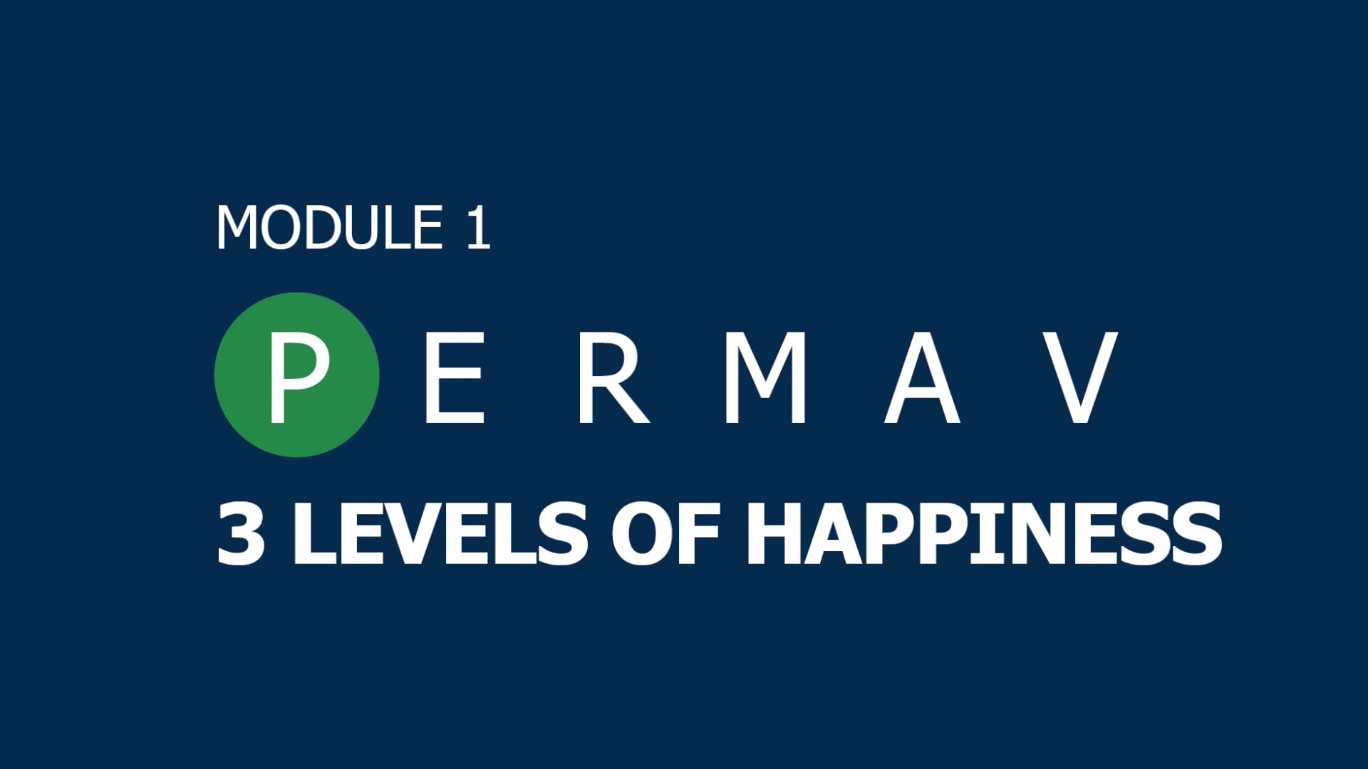 5-levels-of-happiness-on-vimeo