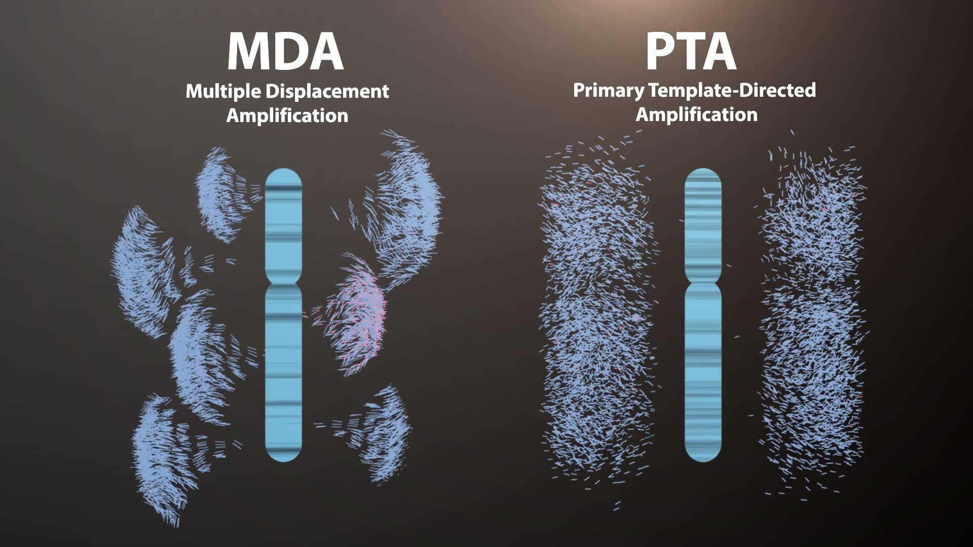 BioSkryb Primary Template-directed Amplification (PTA) on Vimeo