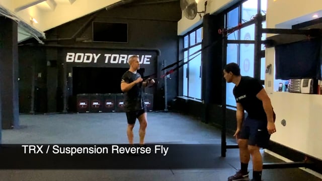 TRX Suspension Reverse Fly