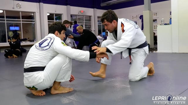 Lucas & Frederico Silva Sparring Session