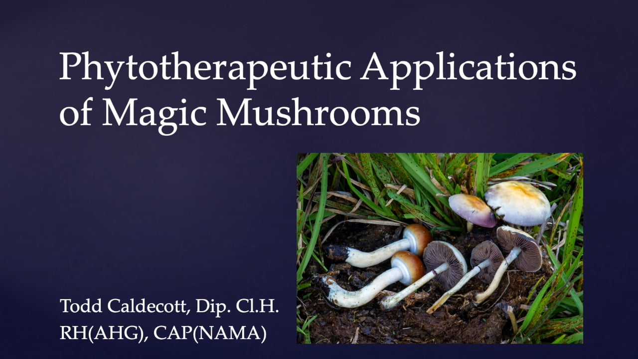 Phytotherapy and magic mushrooms