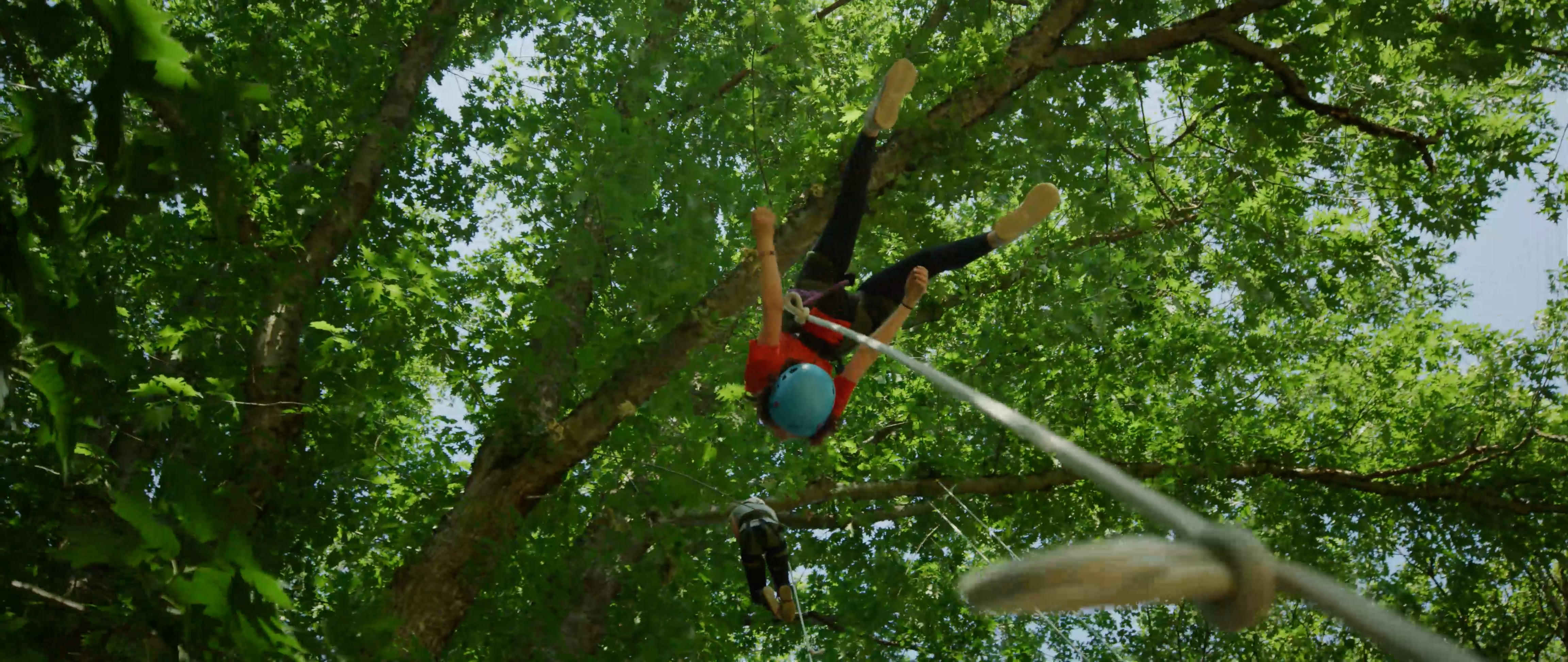 What is recreational tree climbing & where do you start - TREETOP