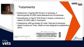 Caso clínico -  Enteropatía perdedora de proteínas canina