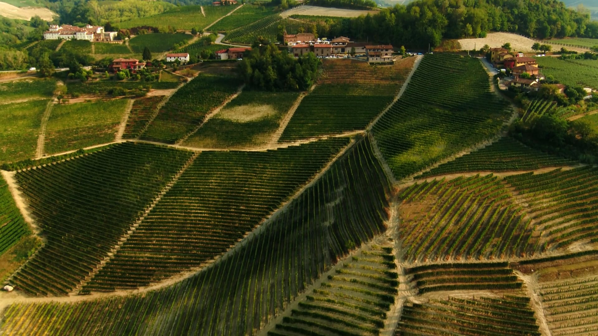 La nostra cantina | Our cellar