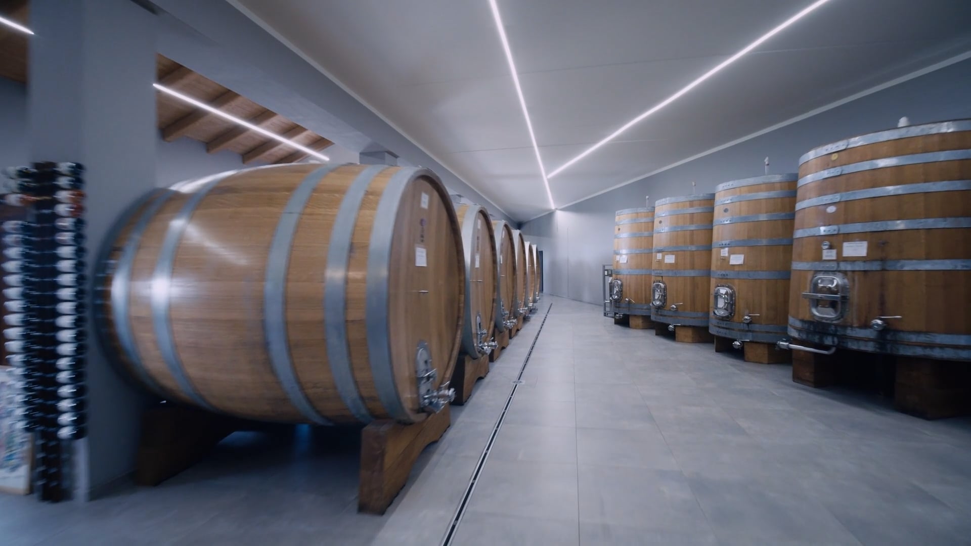 La nuova cantina | The new cellar