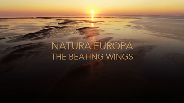 NATURA EUROPA, THE BEATING WING - Les Films d'ici