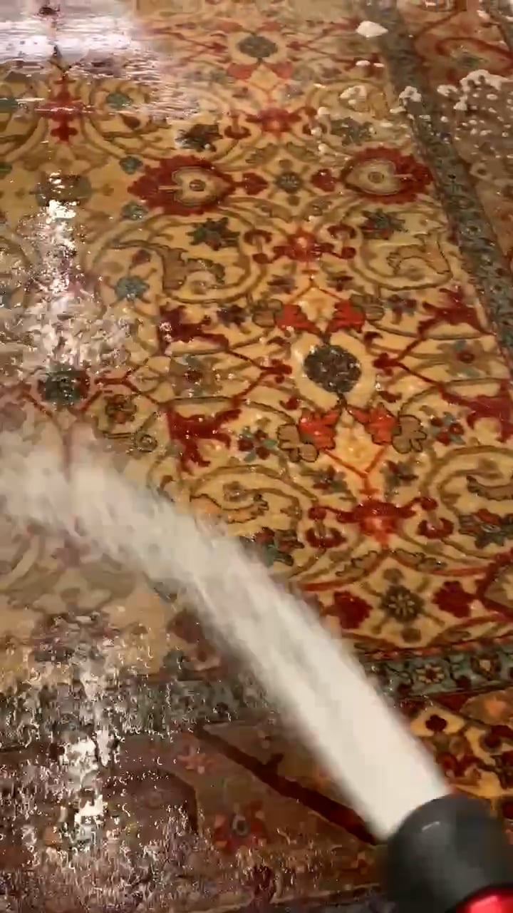 https://i.vimeocdn.com/video/1266282961-817a94e4d65ddf7d876b33c14ba7fb2a964f33da9af86148e